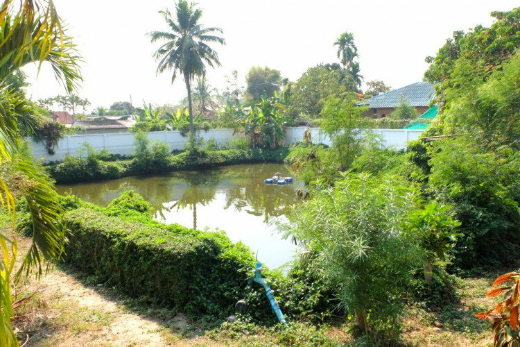 Дом в Сан Па Тонге, Таиланд | THE556865