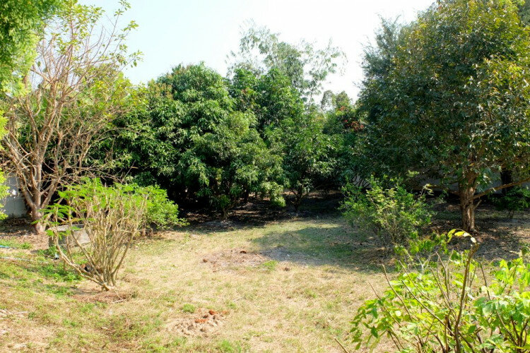 Дом в Сан Па Тонге, Таиланд | THE556865