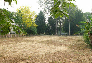 Земельный участок в Сарафи, Таиланд | THE356911