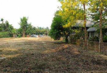 Земельный участок в Сарафи, Таиланд | THE356911