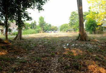 Земельный участок в Сарафи, Таиланд | THE356911