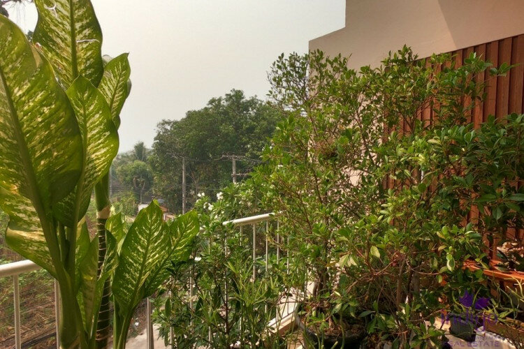 Кондоминиум в Чиангмае, Таиланд | THE358498