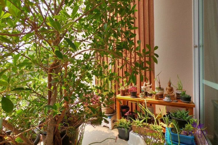 Кондоминиум в Чиангмае, Таиланд | THE358498