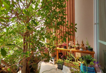 Кондоминиум в Чиангмае, Таиланд | THE358498