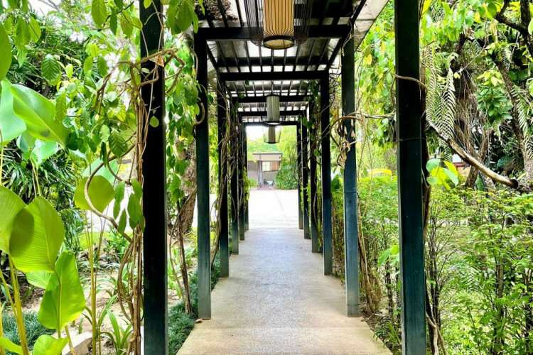 Кондоминиум в Чиангмае, Таиланд | THE156744