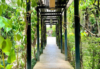 Кондоминиум в Чиангмае, Таиланд | THE156744