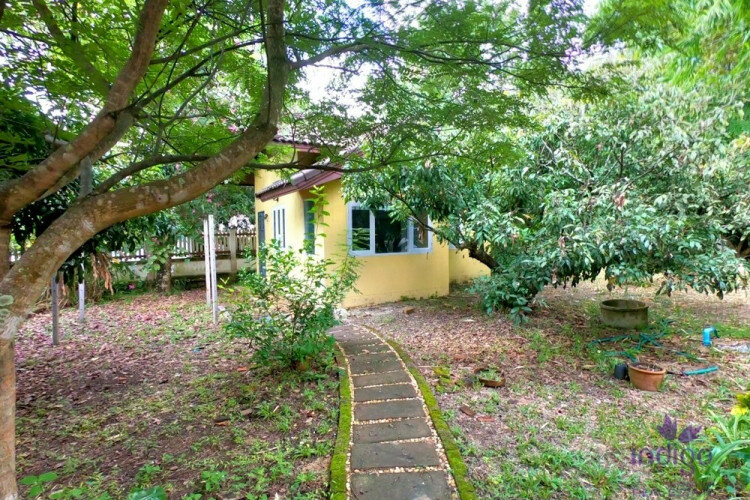 Дом в Сан-Сае, Таиланд | THE256592