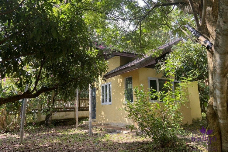 Дом в Сан-Сае, Таиланд | THE256592