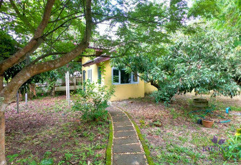 Дом в Сан-Сае, Таиланд | THE256592