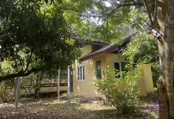 Дом в Сан-Сае, Таиланд | THE256592