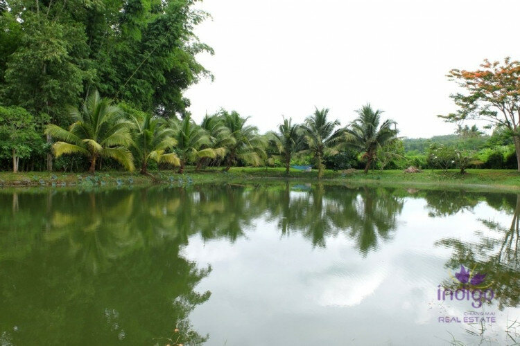 Дом в Мае Танг, Таиланд | THE356843