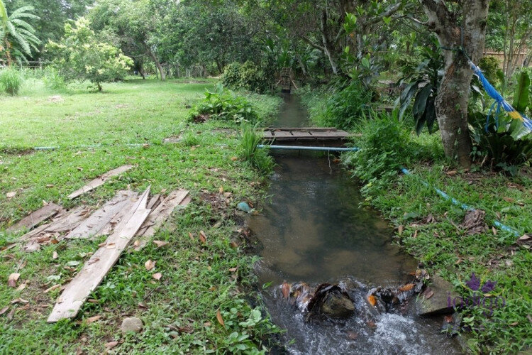 Дом в Мае Танг, Таиланд | THE356843