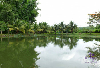 Дом в Мае Танг, Таиланд | THE356843