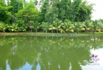 Дом в Мае Танг, Таиланд | THE356843