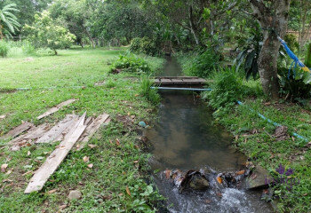 Дом в Мае Танг, Таиланд | THE356843