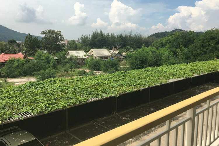 Кондоминиум в Хуахине, Таиланд | THE257901