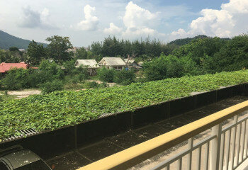 Кондоминиум в Хуахине, Таиланд | THE257901