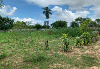 Земельный участок в Саттахипе, Таиланд | THE439379