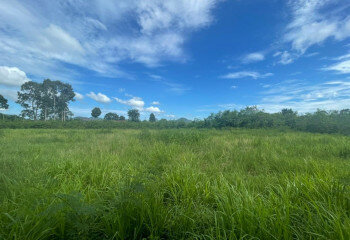 Земельный участок в Саттахипе, Таиланд | THE243245