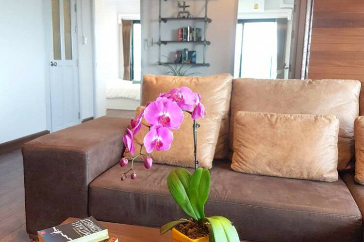 Кондоминиум в Чиангмае, Таиланд | THE456716