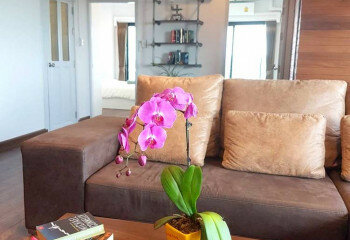 Кондоминиум в Чиангмае, Таиланд | THE456716