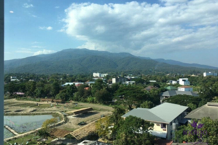 Кондоминиум в Чиангмае, Таиланд | THE356693