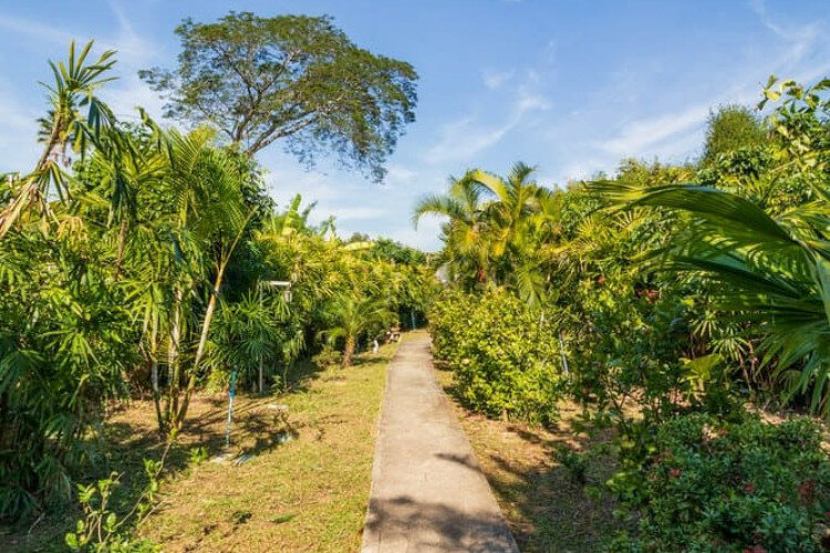 Дом в Чиангмае, Таиланд | THE456688