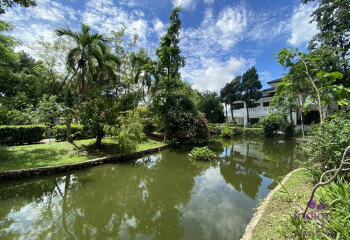 Дом в Чиангмае, Таиланд | THE456652