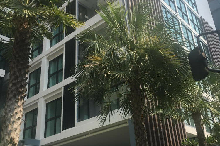 Квартира в Паттайе, Таиланд | THE534305