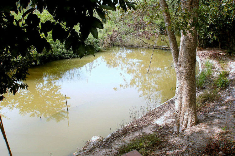 Дом в Паттайе, Таиланд | THE324324