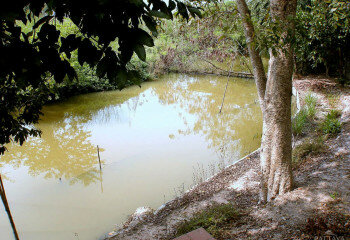 Дом в Паттайе, Таиланд | THE324324