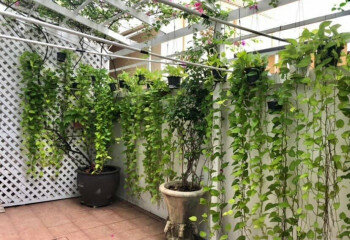 Дом в Бангкоке, Таиланд | THE345271