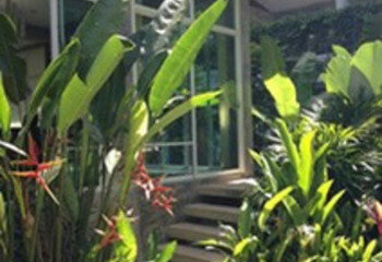 Дом на острове Самуй, Таиланд | THE408751