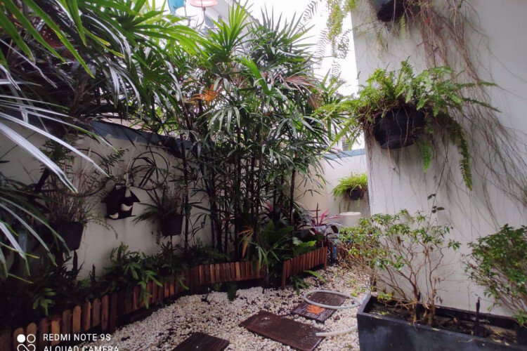 Дом в Бангкоке, Таиланд | THE448977