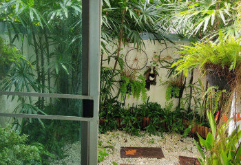 Дом в Бангкоке, Таиланд | THE448977