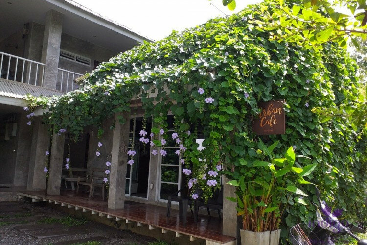 Дом в Чиангмае, Таиланд | THE256700