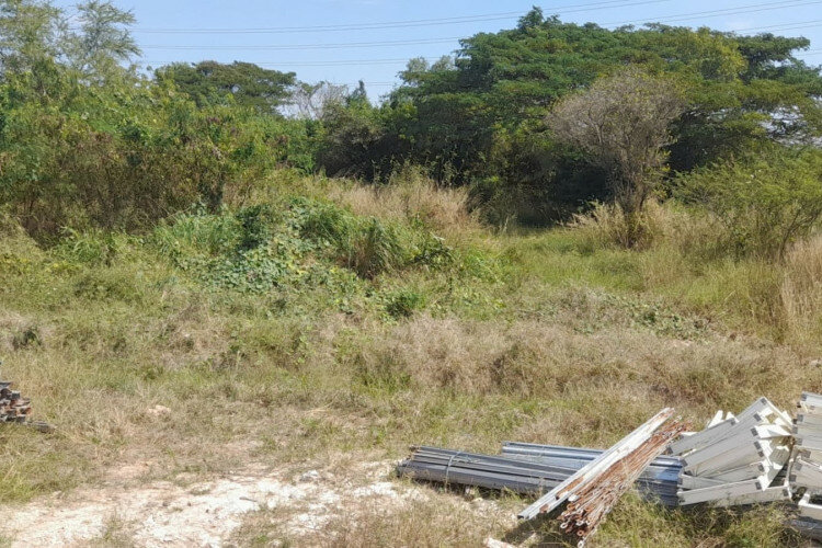 Земельный участок в Банг Ламунге, Таиланд | THE439504