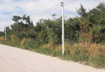 Земельный участок в Банг Ламунге, Таиланд | THE439504