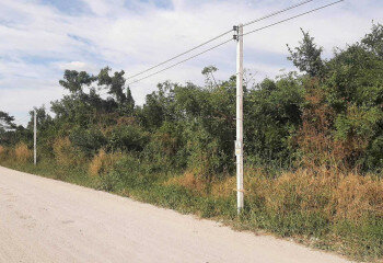 Земельный участок в Банг Ламунге, Таиланд | THE439504