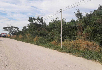 Земельный участок в Банг Ламунге, Таиланд | THE439504