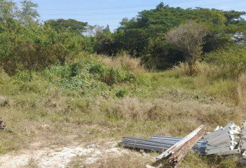 Земельный участок в Банг Ламунге, Таиланд | THE439504