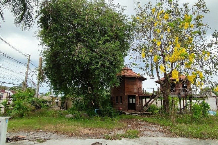 Земельный участок в Банг Ламунге, Таиланд | THE339321