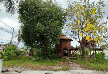 Земельный участок в Банг Ламунге, Таиланд | THE339321