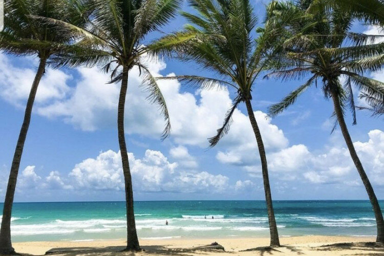 Кондоминиум в Сурине, Таиланд | THE257346