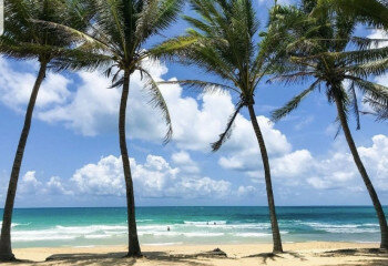 Кондоминиум в Сурине, Таиланд | THE257346