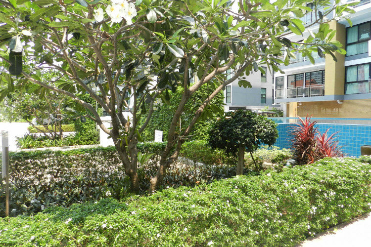 Квартира в Джомтьене, Паттайя, Таиланд | THE534470