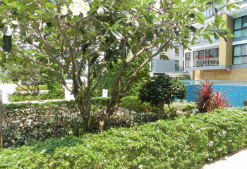 Квартира в Джомтьене, Паттайя, Таиланд | THE534470