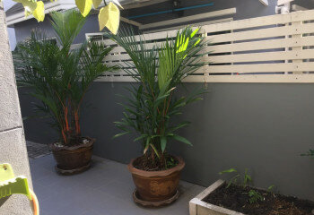 Дом в Паттайе, Таиланд | THE323586