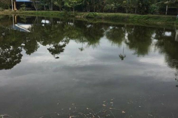 Дом в Паттайе, Таиланд | THE522490