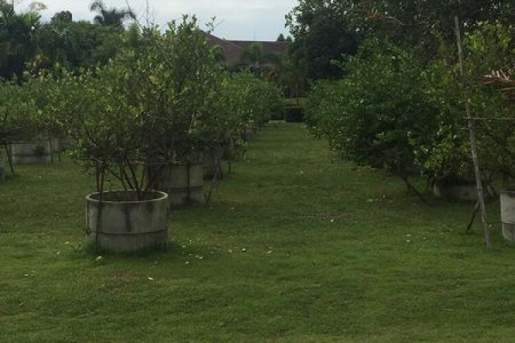 Дом в Паттайе, Таиланд | THE522490